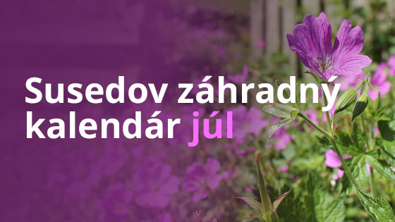 susedov-kalendar-jul (1)